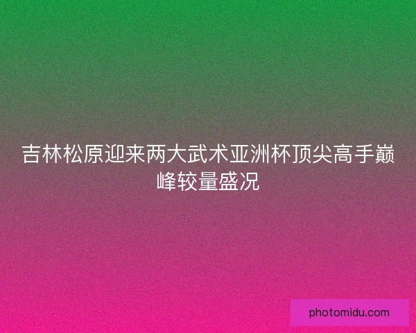 吉林松原迎来两大武术亚洲杯顶尖高手巅峰较量盛况
