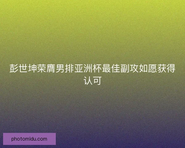 彭世坤荣膺男排亚洲杯最佳副攻如愿获得认可